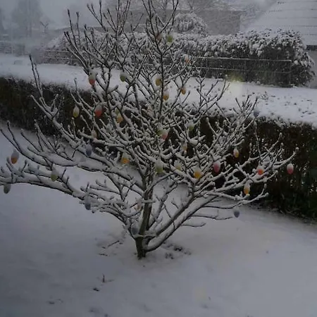 別荘 Leja Beschendorf